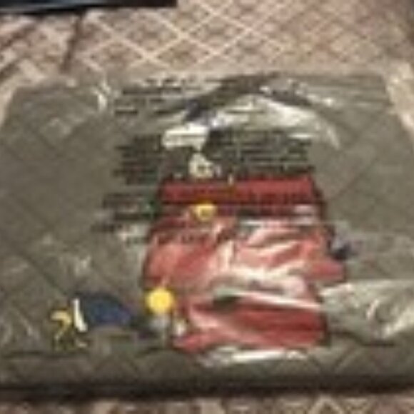 NWT 🚠⛷Vera Bradley Peanuts Collection Ski Slope Snoopy Vera Tote Bag - Picture 5 of 7